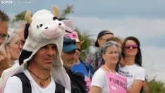 Movilización en Noviercas contra la macrogranja. /SN