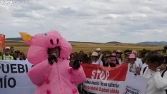 Movilización en Noviercas contra la macrogranja. /SN