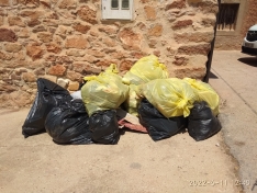 Foto 6 - Campaña de limpieza en Montejo de Tiermes