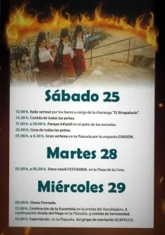 Foto 3 - San Pedro Manrique vuelve a preparar su alfombra de ascuas