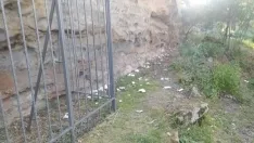 Imágenes facilitadas por Asden del estado del monte Valonsadero tras el Lavalenguas.