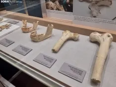Exposición 'Del bifaz a la palabra. De Atapuerca a Valpuesta', en Soria.