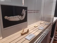 Exposición 'Del bifaz a la palabra. De Atapuerca a Valpuesta', en Soria.