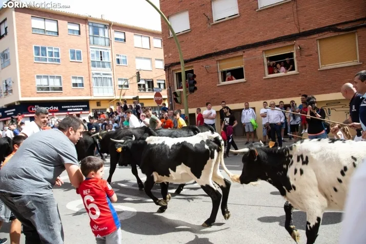 Trashumancia y Encierro de Carretones 2022