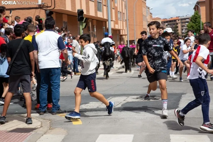 Trashumancia y Encierro de Carretones 2022