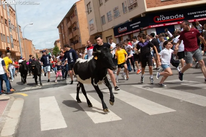 Trashumancia y Encierro de Carretones 2022