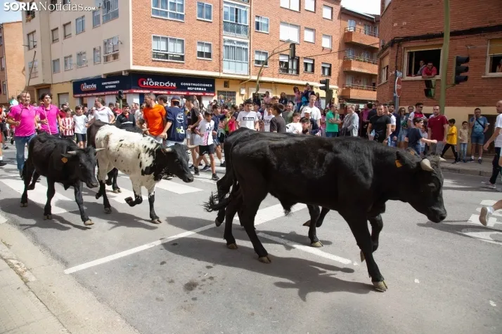 Trashumancia y Encierro de Carretones 2022