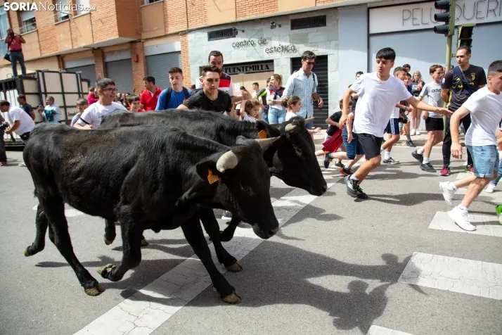 Trashumancia y Encierro de Carretones 2022