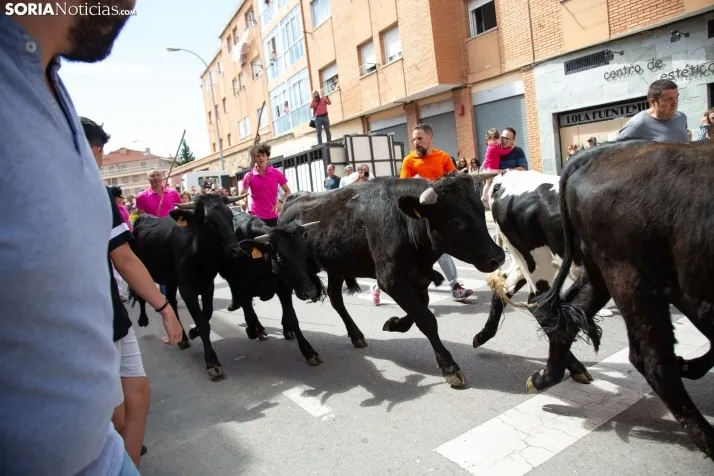 Trashumancia y Encierro de Carretones 2022