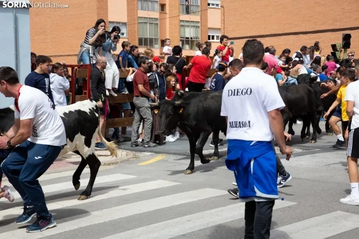 Trashumancia y Encierro de Carretones 2022