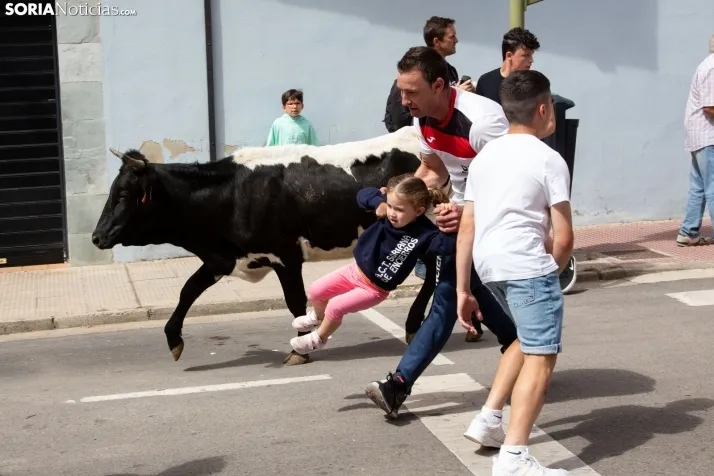 Trashumancia y Encierro de Carretones 2022