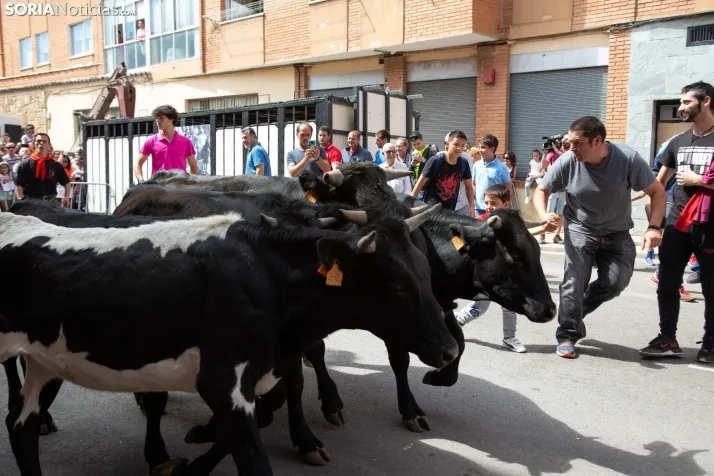 Trashumancia y Encierro de Carretones 2022