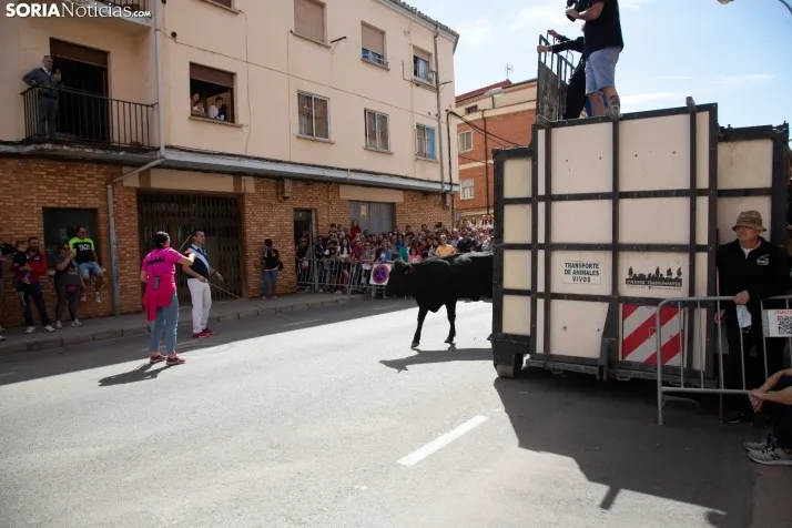 Trashumancia y Encierro de Carretones 2022