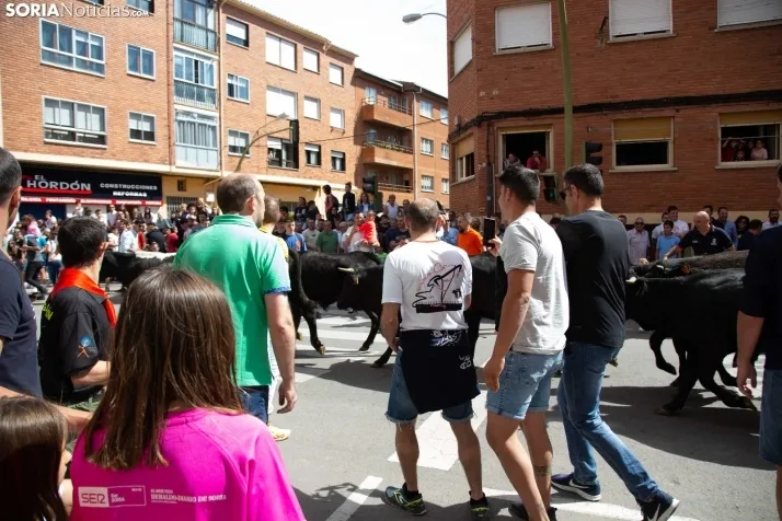 Trashumancia y Encierro de Carretones 2022
