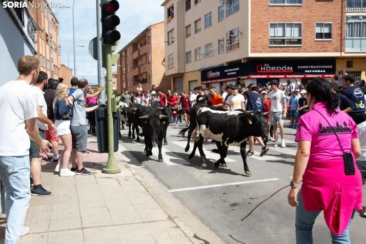 Trashumancia y Encierro de Carretones 2022