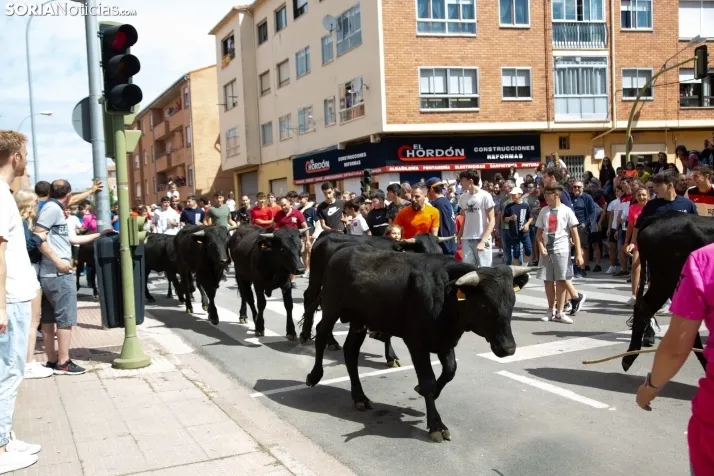 Trashumancia y Encierro de Carretones 2022