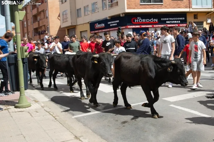 Trashumancia y Encierro de Carretones 2022