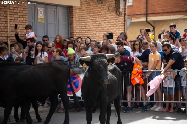 Trashumancia y Encierro de Carretones 2022
