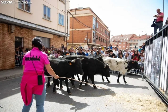 Trashumancia y Encierro de Carretones 2022