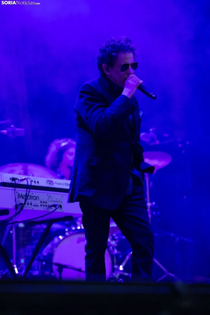 Concierto calamaro