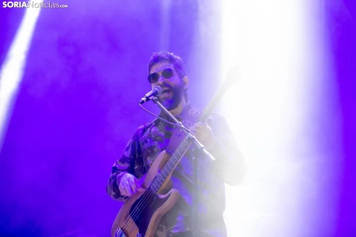 Concierto calamaro