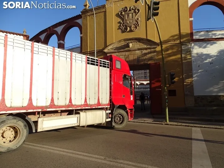 San Juan 2022. Soria. Desencajonamiento