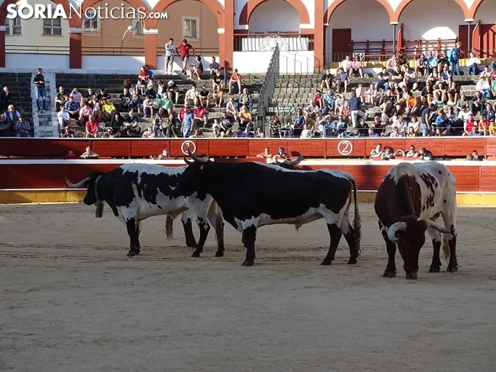 San Juan. Soria. Desencajonamiento 2022