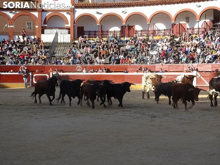 San Juan. Soria. Desencajonamiento 2022