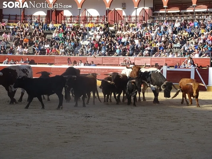 San Juan. Soria. Desencajonamiento 2022
