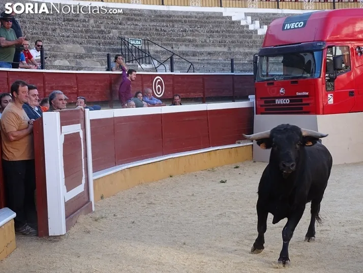 San Juan. Soria. Desencajonamiento 2022