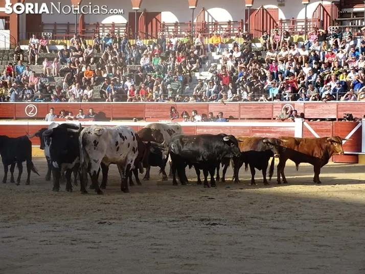 San Juan. Soria. Desencajonamiento 2022