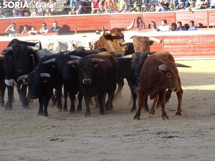 San Juan. Soria. Desencajonamiento 2022