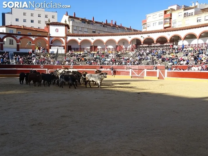 San Juan. Soria. Desencajonamiento 2022