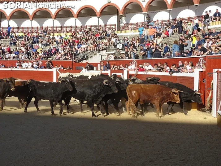 San Juan. Soria. Desencajonamiento 2022