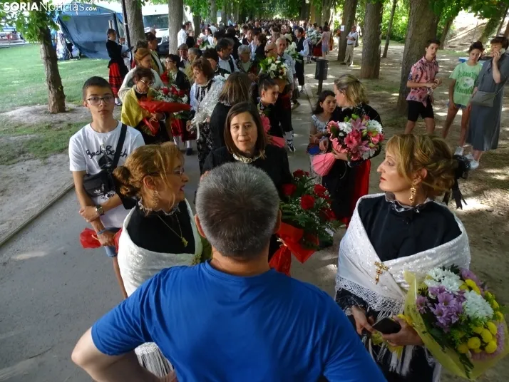 Una imagen de la ofrenda floral en Ágreda este viernes. /PC