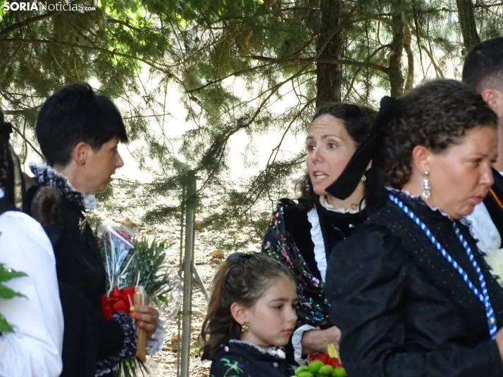 Una imagen de la ofrenda floral en Ágreda este viernes. /PC