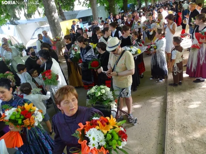 Una imagen de la ofrenda floral en Ágreda este viernes. /PC