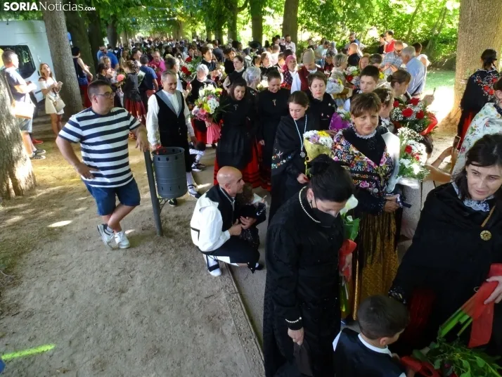 Una imagen de la ofrenda floral en Ágreda este viernes. /PC