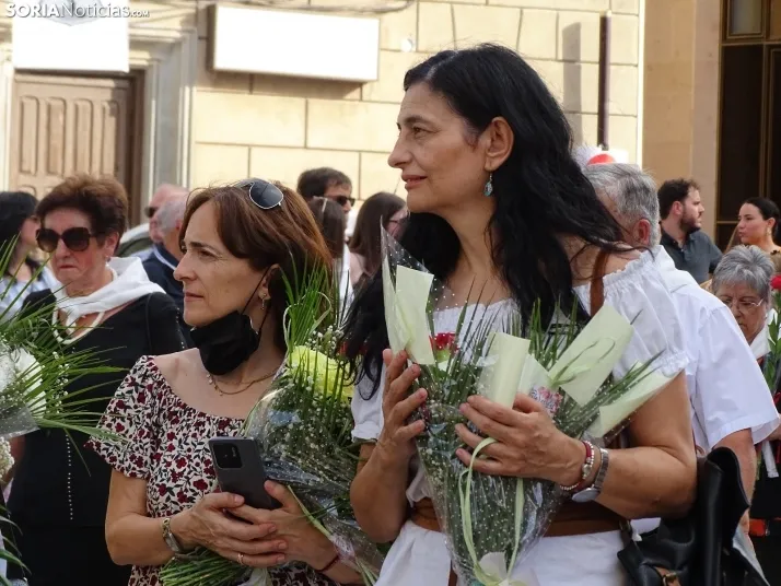 Una imagen de la ofrenda floral en Ágreda este viernes. /PC