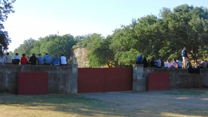 3+1+8 Los novillos de La Saca ya est&aacute;n listos en Valonsadero