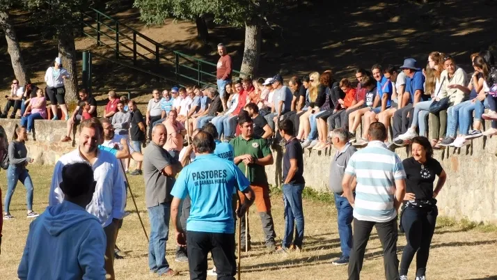 3+1+8 Los novillos de La Saca ya est&aacute;n listos en Valonsadero