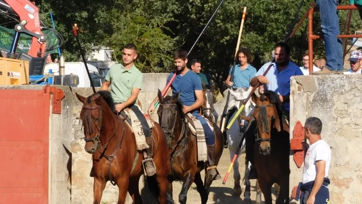 3+1+8 Los novillos de La Saca ya est&aacute;n listos en Valonsadero