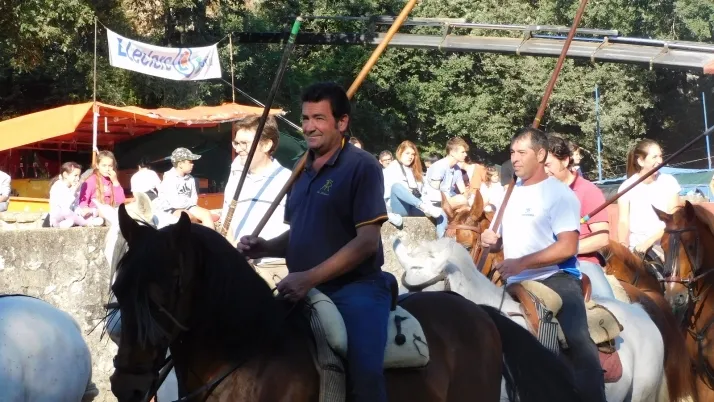 3+1+8 Los novillos de La Saca ya est&aacute;n listos en Valonsadero