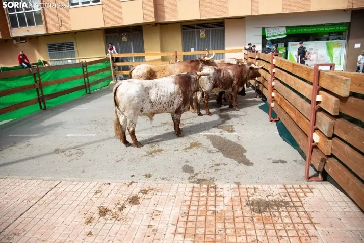 Encierro Soria 2022