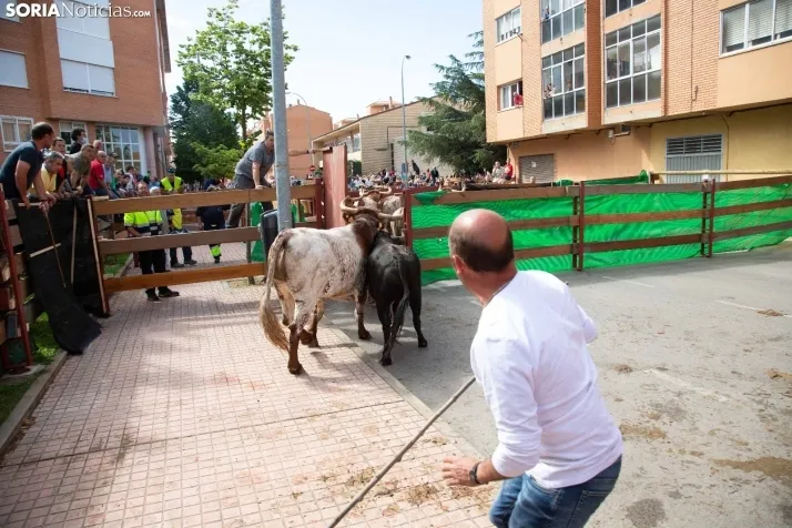 Encierro Soria 2022