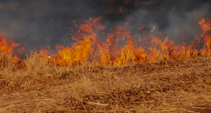 Un rayo provoca un incendio en el Cerro de la Cruz 