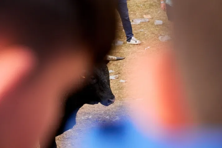 Valonsadero y el Lavalenguas seg&uacute;n Cirilo Vargas