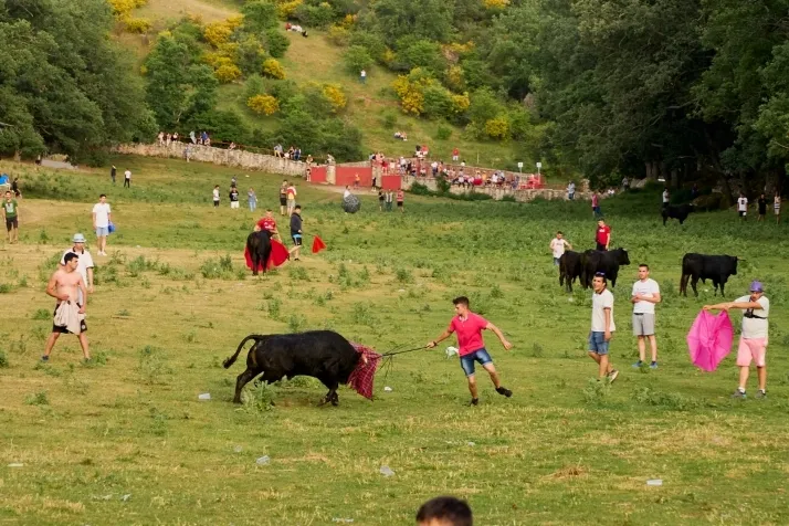 Valonsadero y el Lavalenguas seg&uacute;n Cirilo Vargas