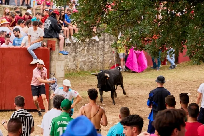 Valonsadero y el Lavalenguas seg&uacute;n Cirilo Vargas