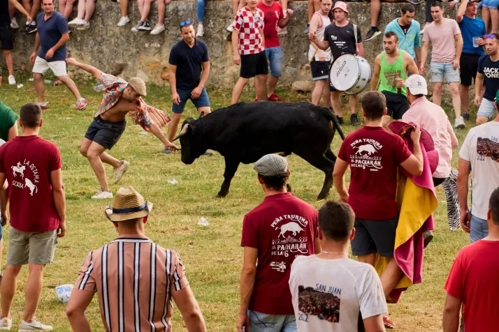 Valonsadero y el Lavalenguas seg&uacute;n Cirilo Vargas